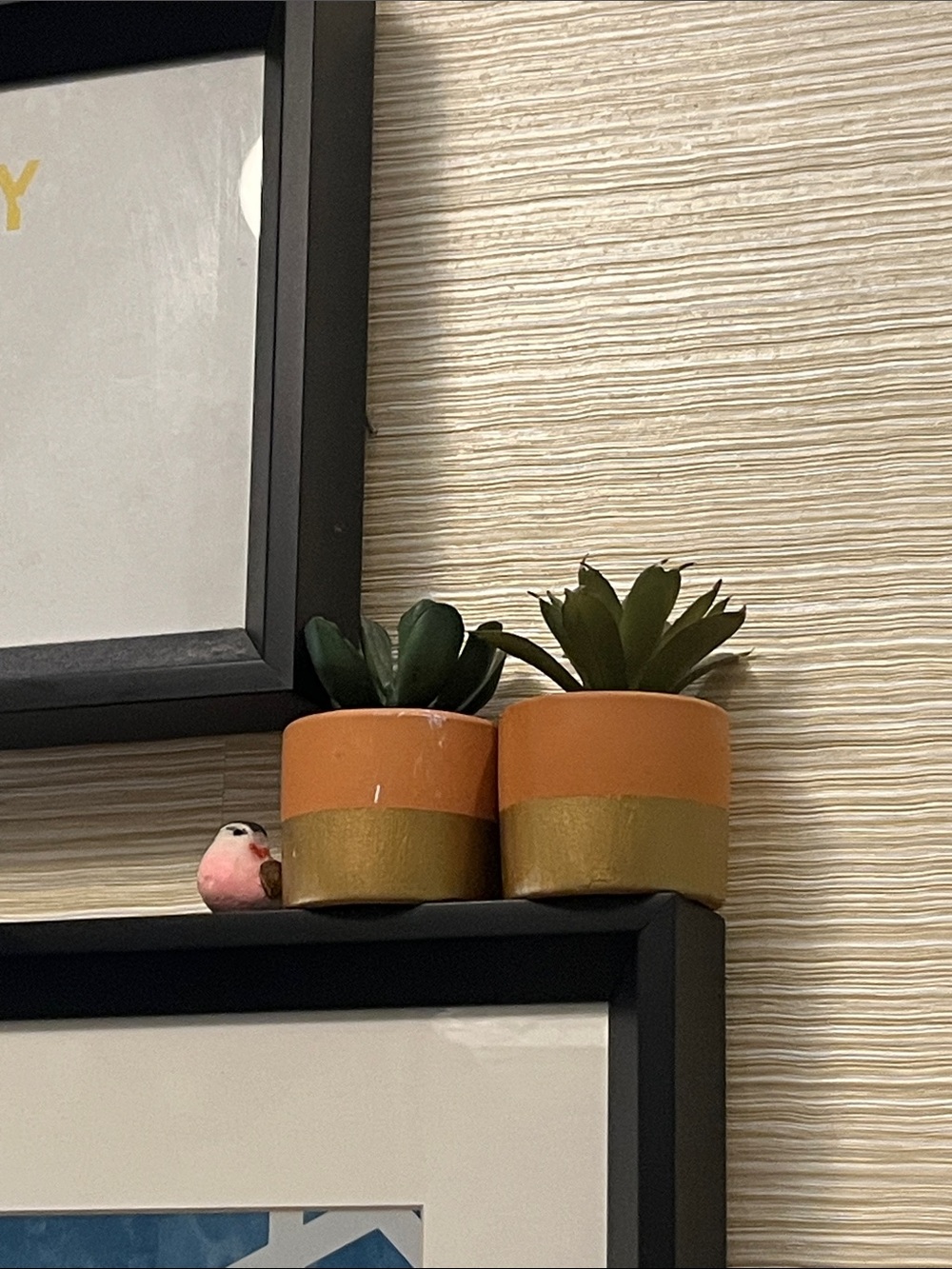Decorative Orange and Gold Ceramic Succulent Planters - Brand